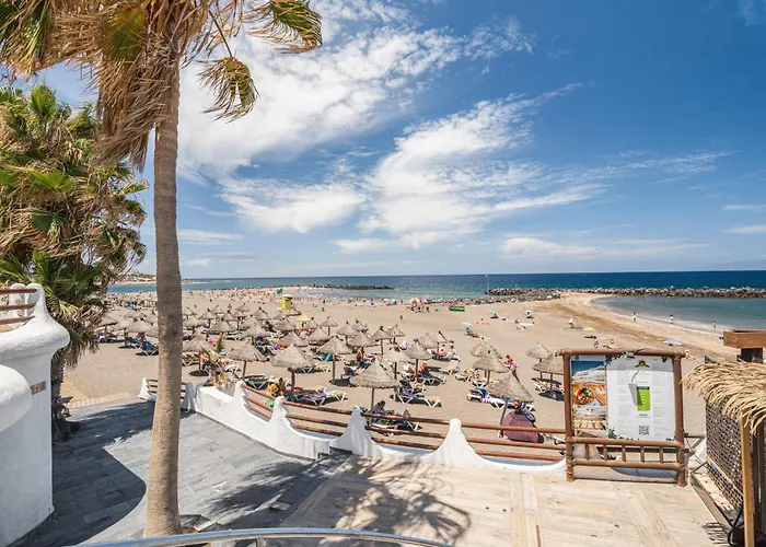 Apto Vera Cruz Playa las Americas *
